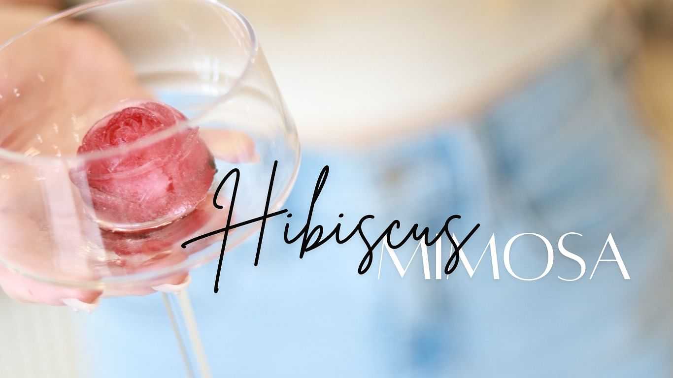 Glass with pink hibiscus sphere, text "Hibiscus Mimosa," person in background wearing denim.
